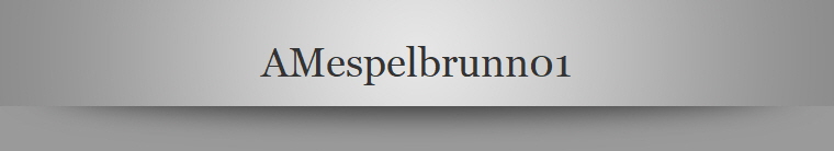 AMespelbrunn01