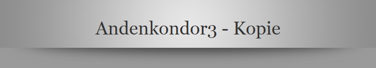 Andenkondor3 - Kopie