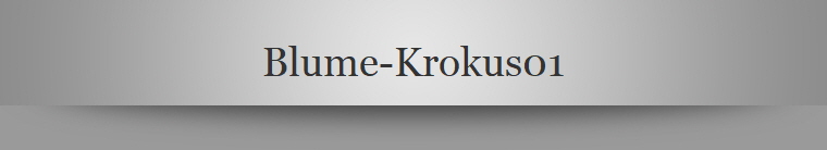 Blume-Krokus01