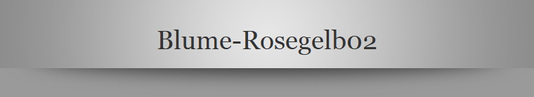 Blume-Rosegelb02