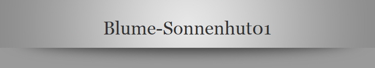 Blume-Sonnenhut01
