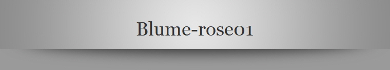 Blume-rose01