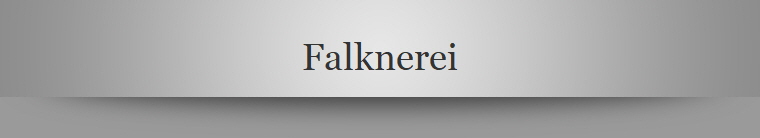 Falknerei