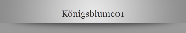 Knigsblume01