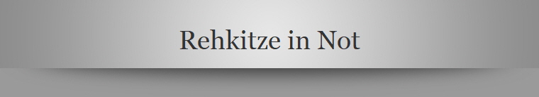 Rehkitze in Not