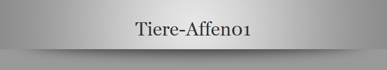 Tiere-Affen01