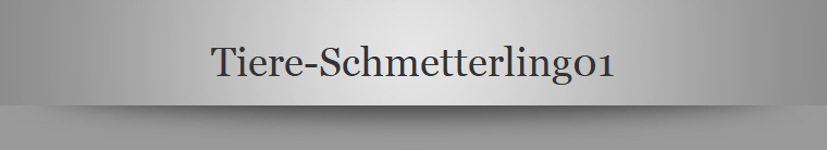 Tiere-Schmetterling01