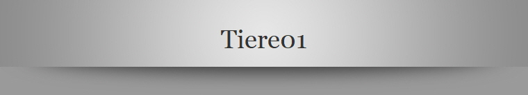 Tiere01