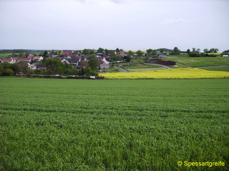 Hasselberg