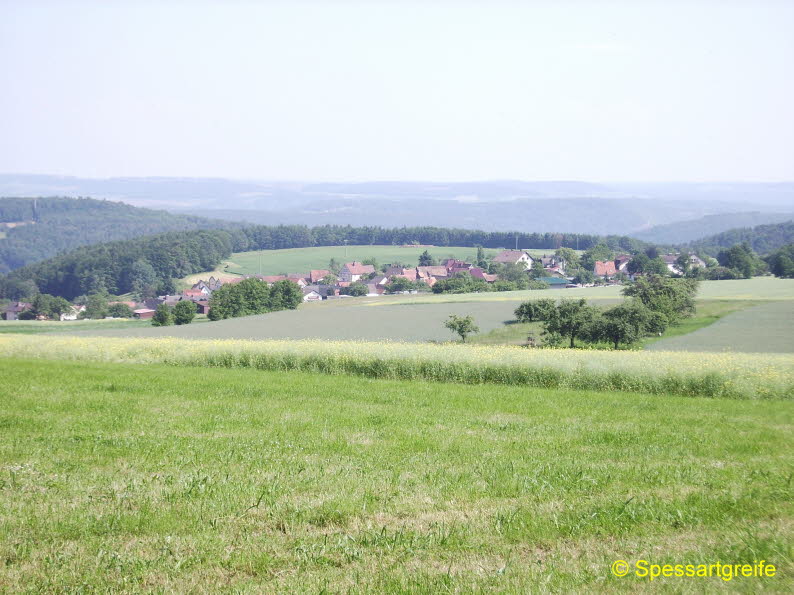 Hasselberg