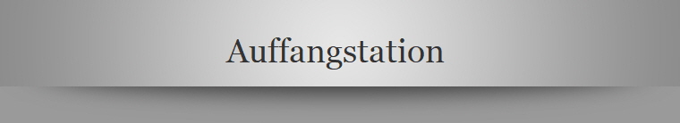 Auffangstation 