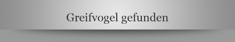 Greifvogel gefunden