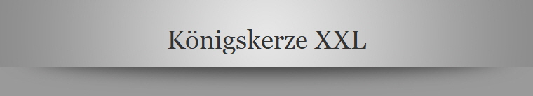 Knigskerze XXL