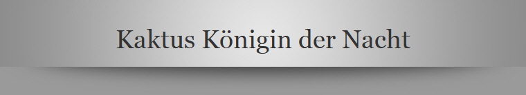 Kaktus Knigin der Nacht