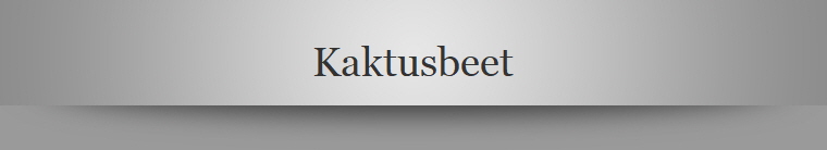 Kaktusbeet