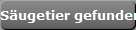 Sugetier gefunden