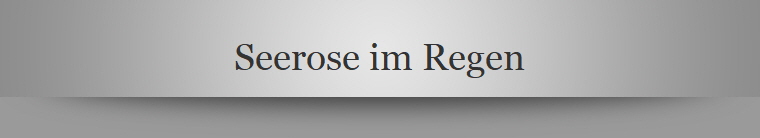 Seerose im Regen