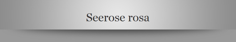Seerose rosa