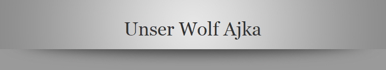 Unser Wolf Ajka