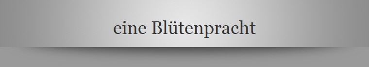 eine Bltenpracht