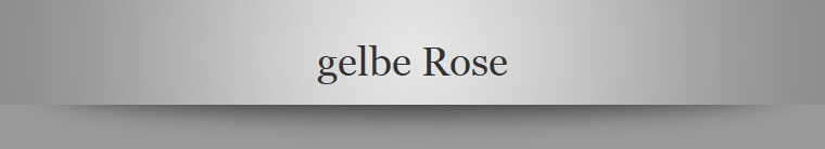 gelbe Rose