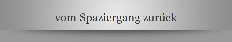 vom Spaziergang zurck