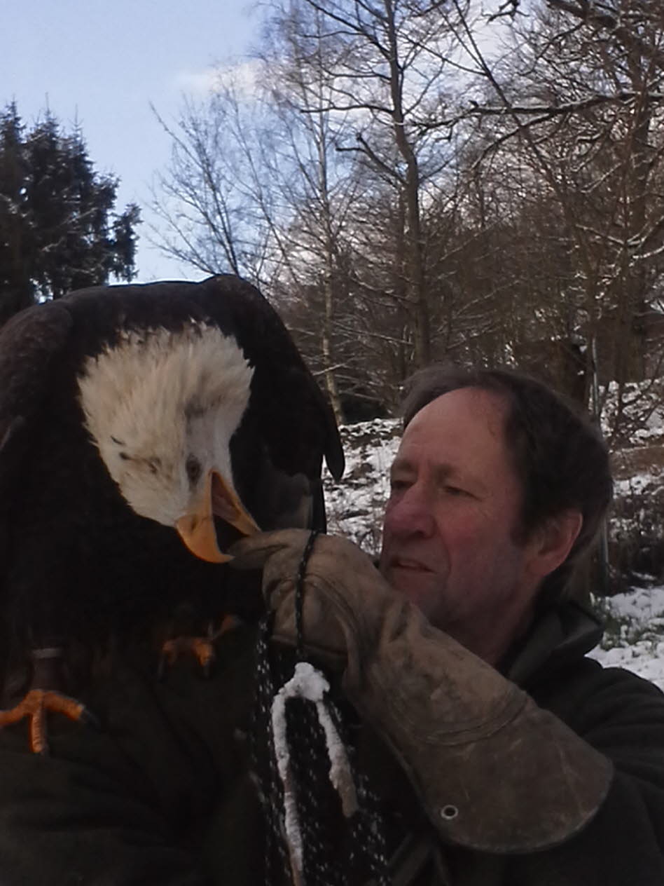 Roland und sein Adler