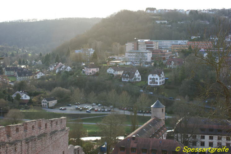 Burg Wertheim