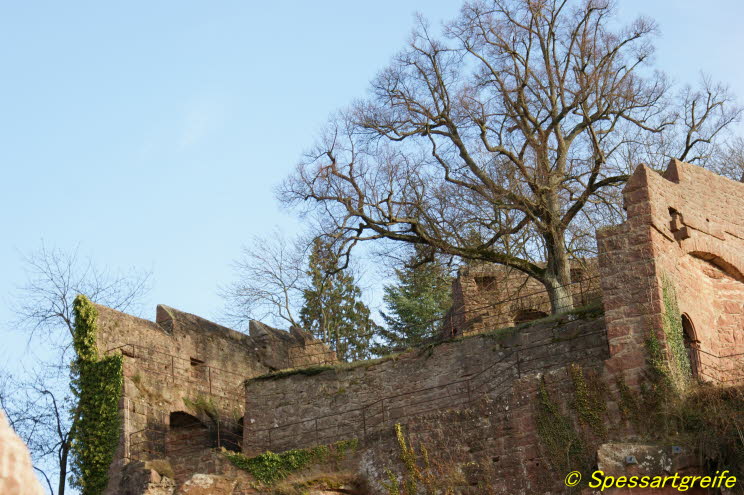 Burg Wertheim