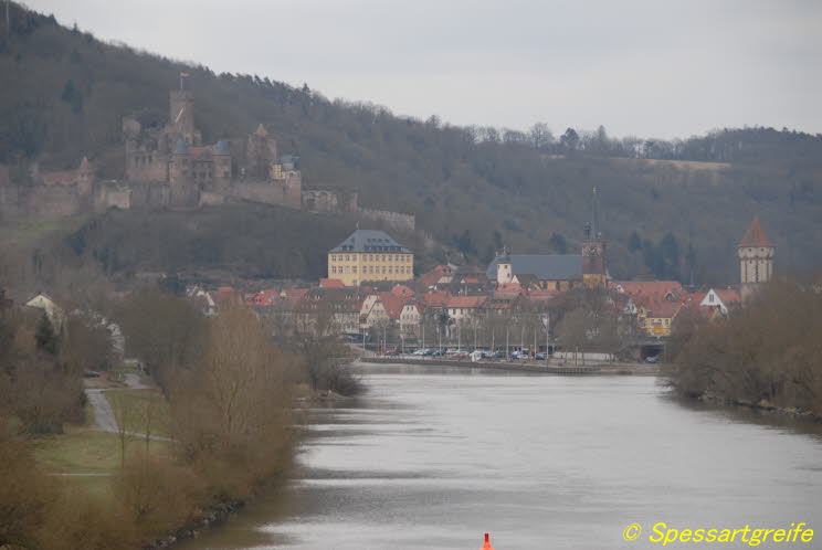 Burg Wertheim