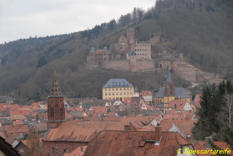 Burg Wertheim