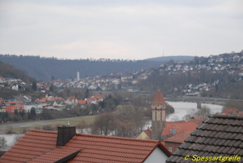 Spitzer Turm Wertheim