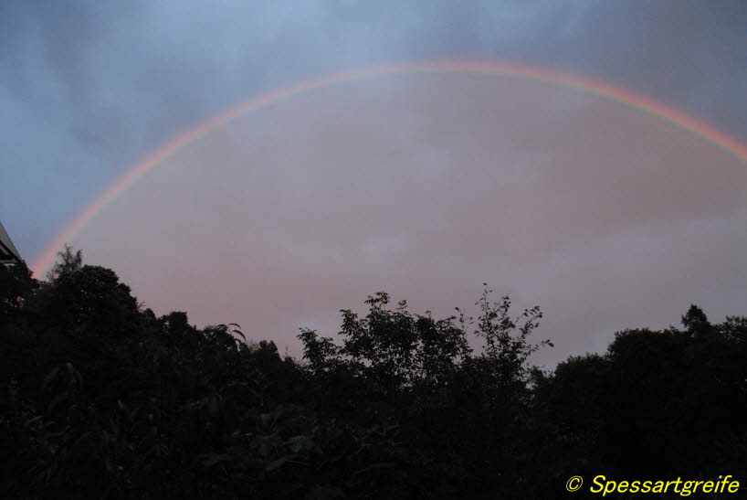 nach einem Gewitter