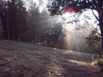 Sonnenstrahlen