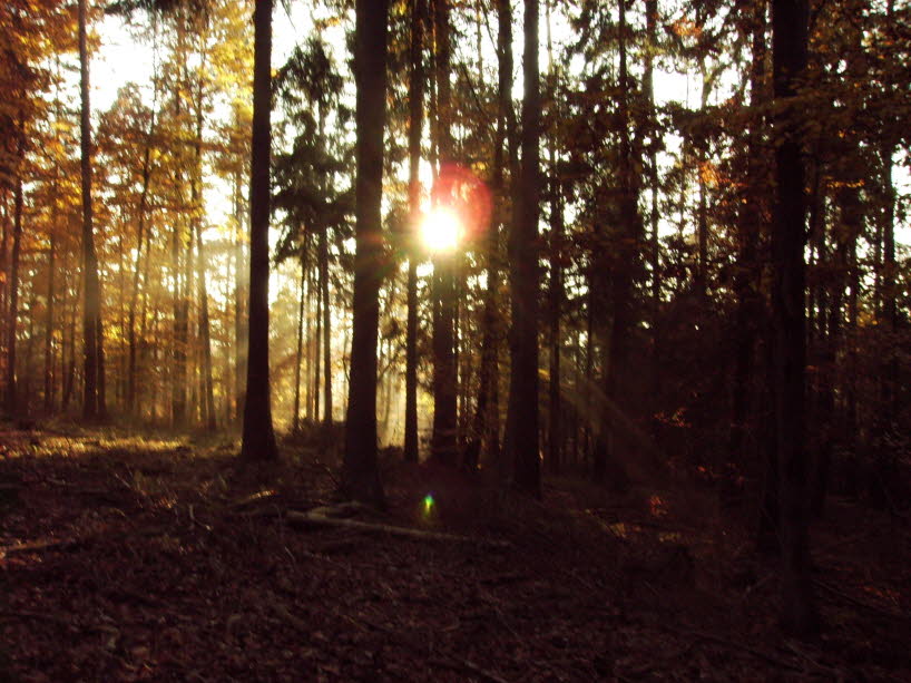 Herbststimmung